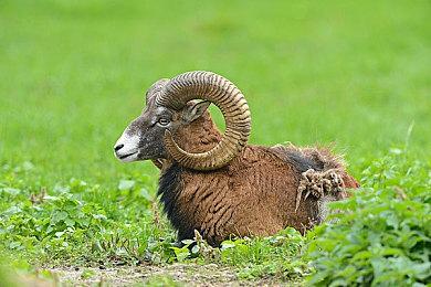 日式恐怖模拟游戏《寿司吧》实机视频 12月25日发售