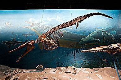 《战锤40K：暗潮》发售宣传片 今日正式发售